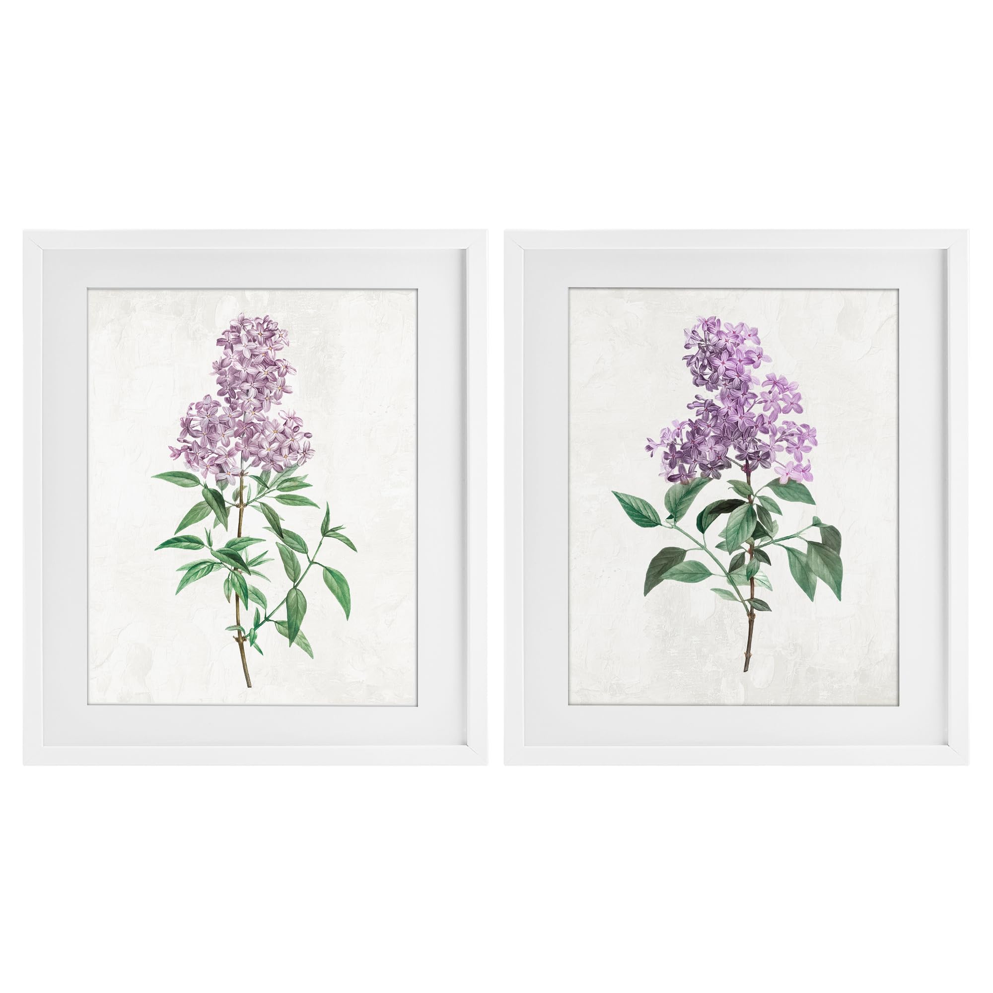 Stupell Industries French Country Lilac Blooms Floral Herbaceous Lilac Blooms, 17 X 21 Inch Framed Print Under Glass Set