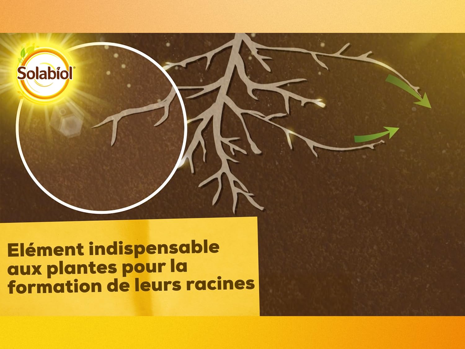 SOLABIOL Engrais Phosphate Naturel - 2x1,5Kg - Jusqu'à 50m² - Améliore La Floraison - Optimise La Formation Des Racines - Pour Toutes Les Cultures - Utilisable En Agriculture Biologique