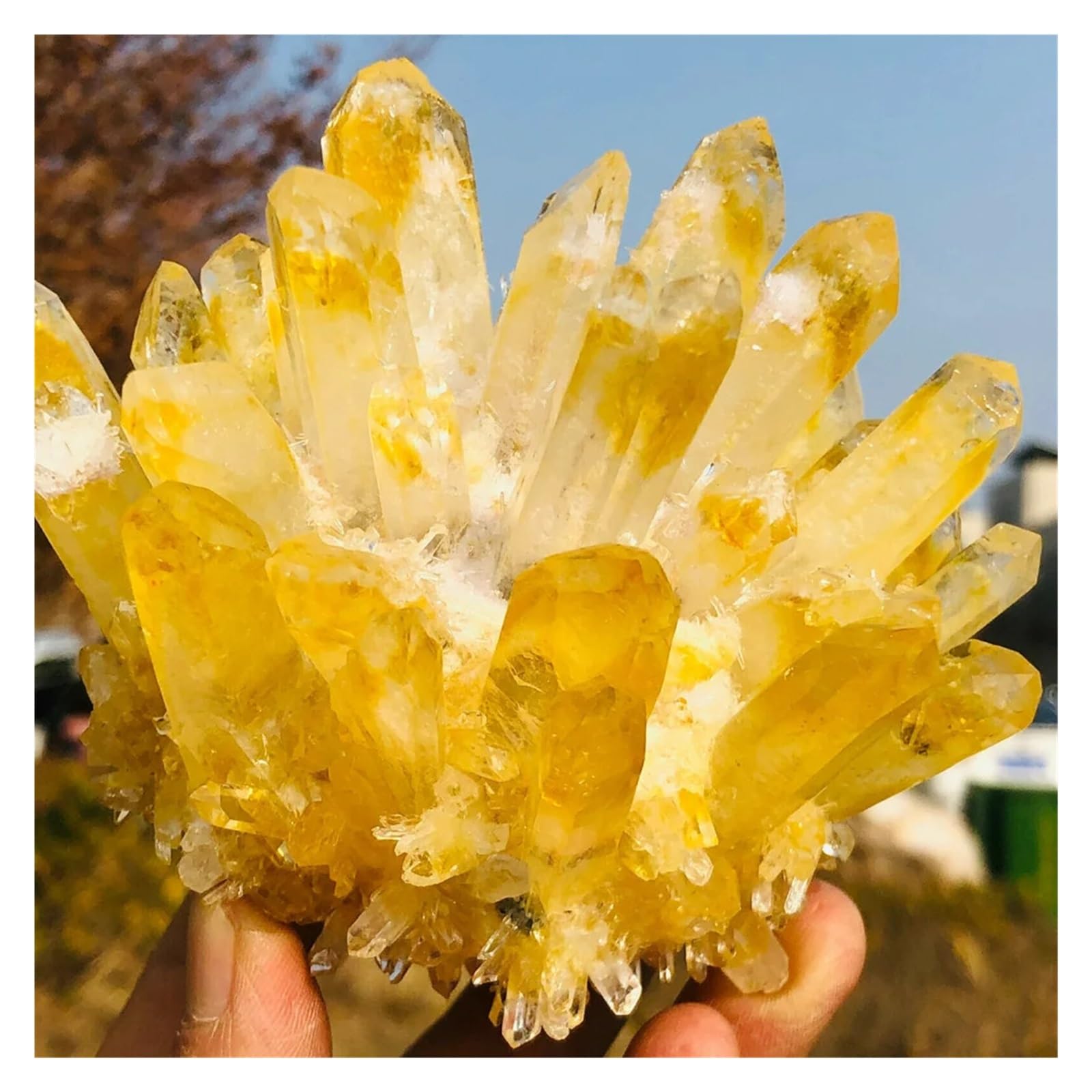 Quartz tibétain jaune de prestige | Magnifique spécimen de grappe 350g