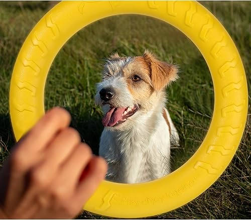 Miniatura 5 de Leitee Paquete de 2 juguetes para perros, juguetes de anillo de discos voladores para perros pequeños a grandes, entrenamiento, búsqueda, flotación,