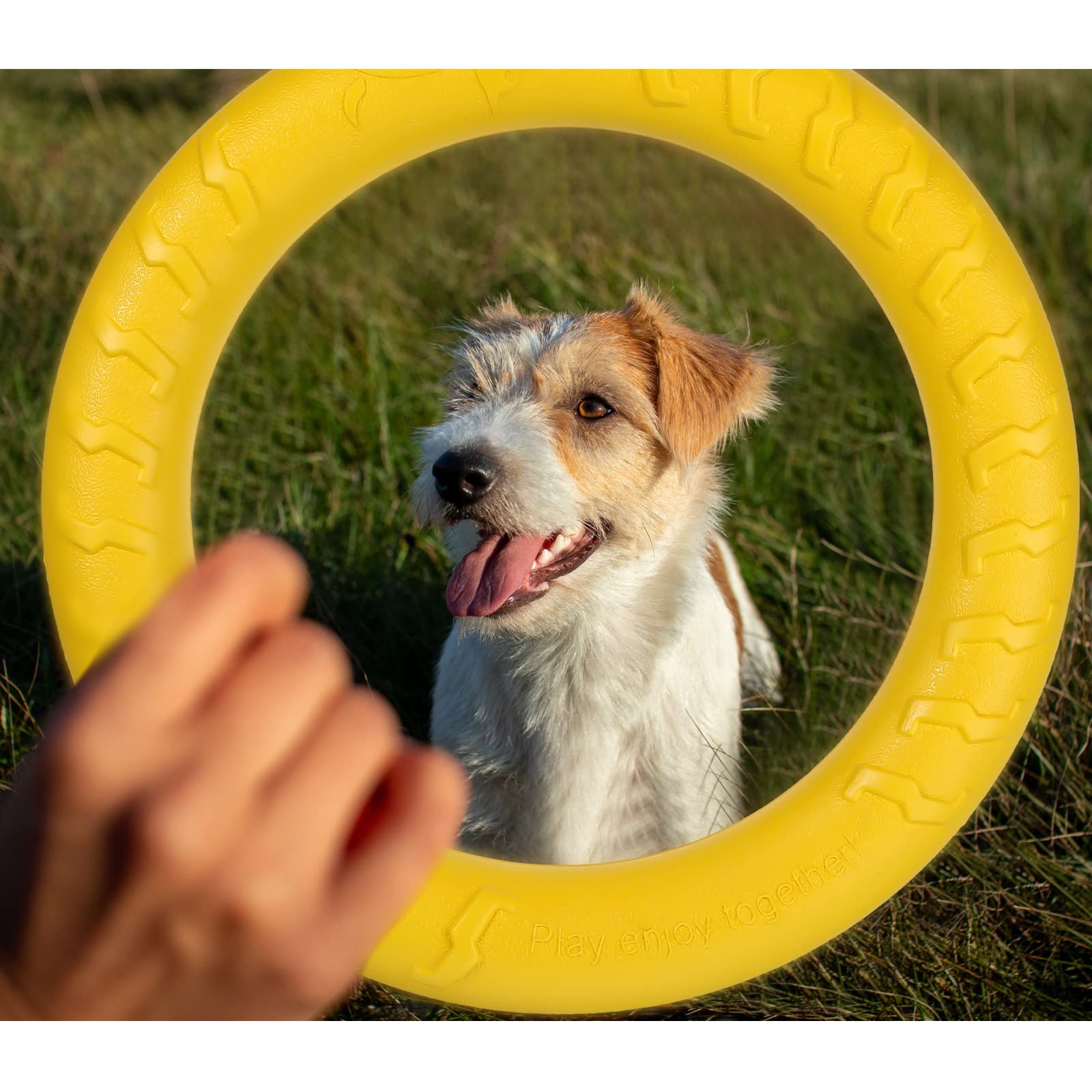 Leitee Lot de 2 jouets pour chien, disques volants pour chiens de petite et grande taille – Entraînement, rapport, flottant, nettoyage des dents (27,9 cm)