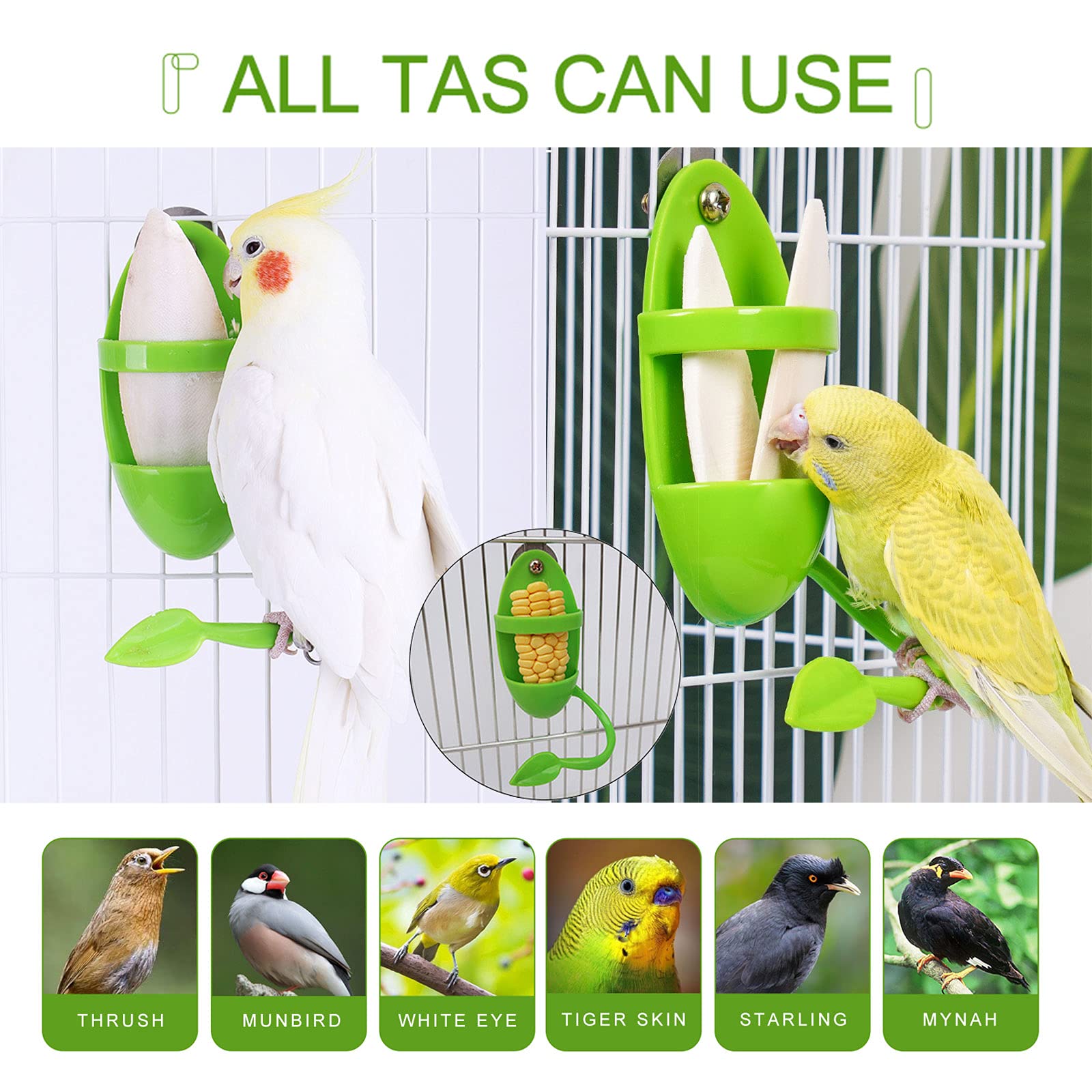 Wooden Bird Food Dish - Feeder For Small Birds, Budgie, Cockatiel, Parakeet Cage