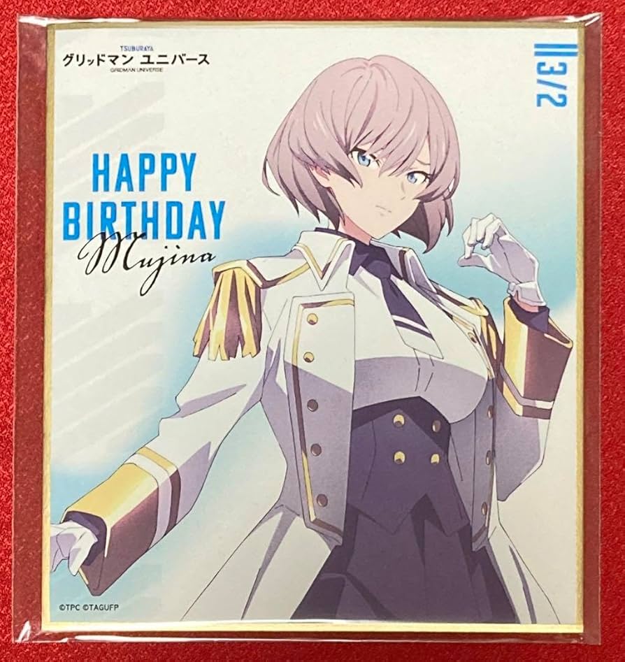 グリッドマン ユニバース ナース S賞 BIGビジュアルクロス ムジナ グリッドマン ユニバース ナース S賞 BIGビジュアルクロス