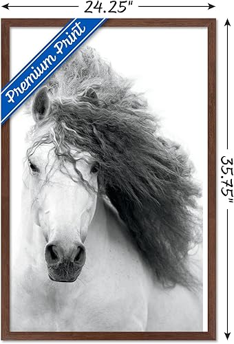 Miniatura 7 de Trends International Póster de pared de caballo en escala de grises, 22.375 x 34 pulgadas, versión sin marco
