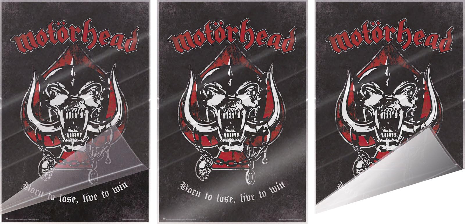 Amazon.com: Motorhead - Music Poster (Born To Lose, Live To Win