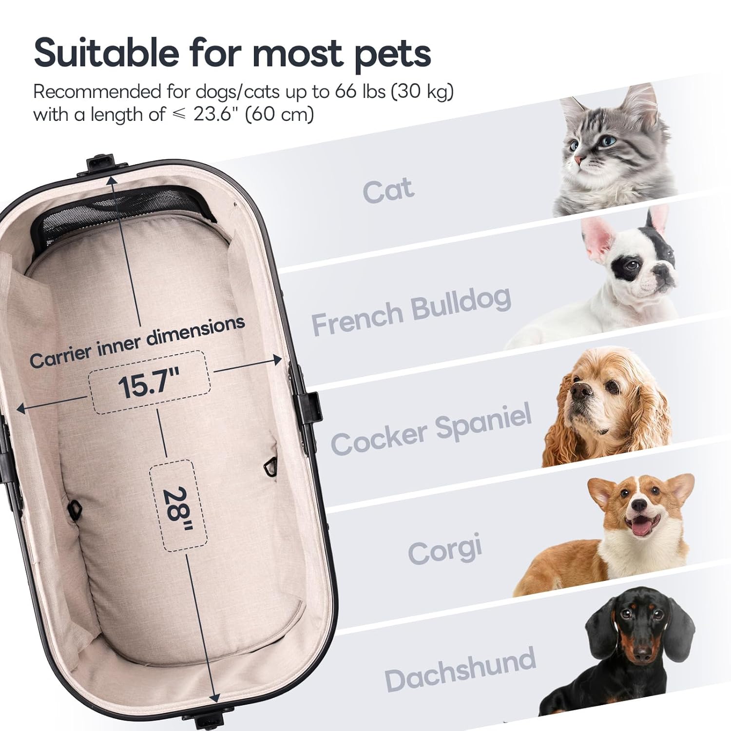 Explore the Comfort: Top Pet Stroller for Easy Travels with Small & Medium Dogs!