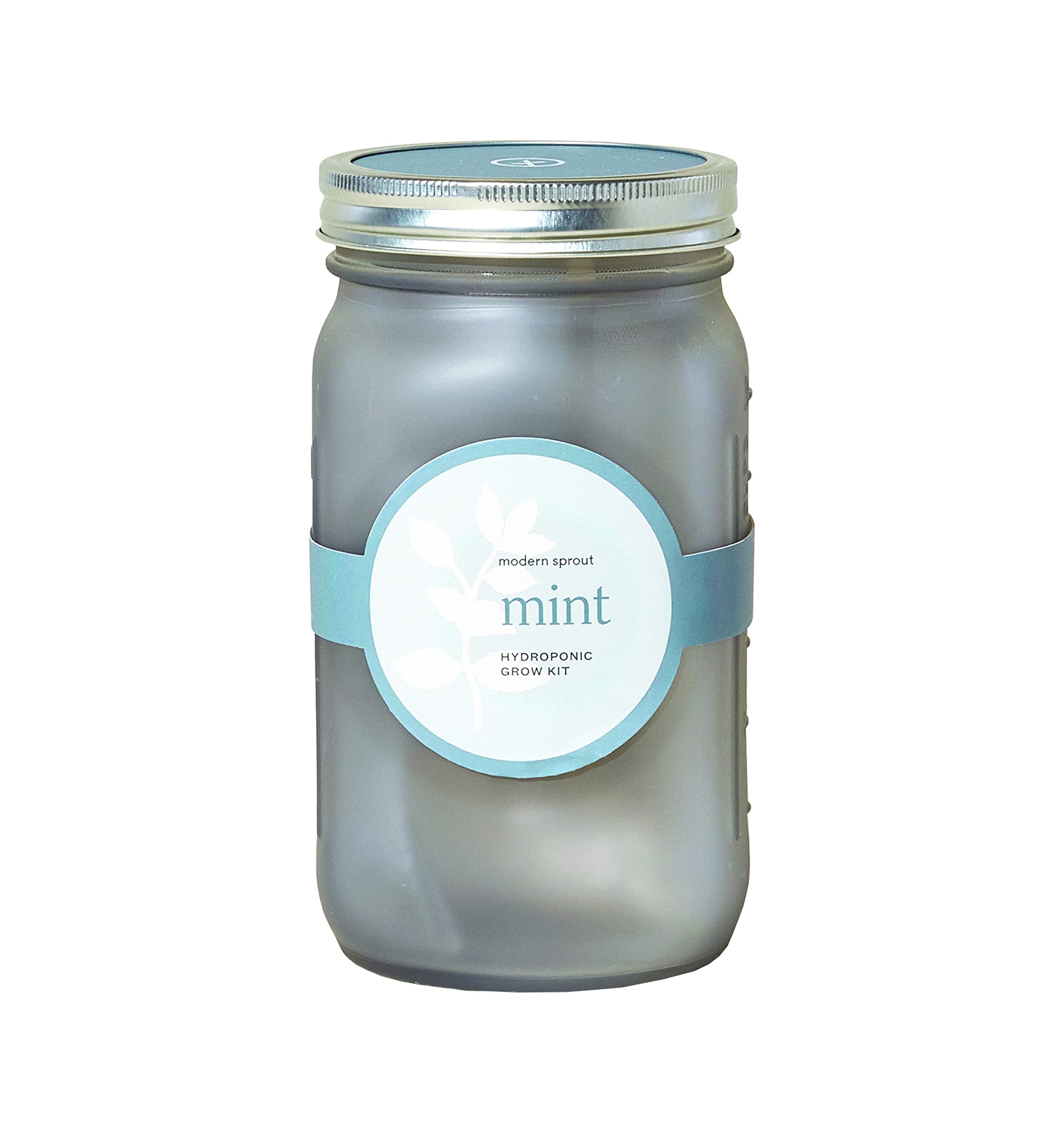 Modern Sprout Glass Jar Grow Set, Indoor Herb Garden, Seed Starter Set, Organic, Non-GMO, Mint