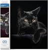 DIAMOND DOTZ Painting, Beginner Kit, Midnight Cat, 35.5 x 27.9cm