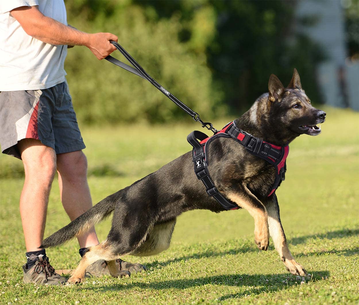 PoyPet No Pull Imbracatura riflettente per cani senza choke, gilet regolabile e morbido imbottito con impugnatura Easy Control per cani di piccola e grande taglia (rosso, L)