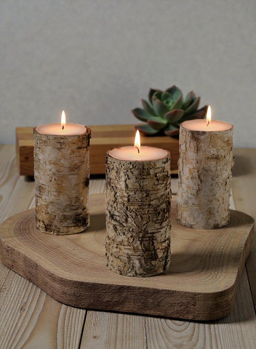 Serene Spaces Living Świeca z kory brzozowej, zestaw 3 sztuk, średniej wielkości świeca w stylu filarowym, przynosi naturę do wnętrz, średnica 7,6 cm i wysokość 14,6 cm