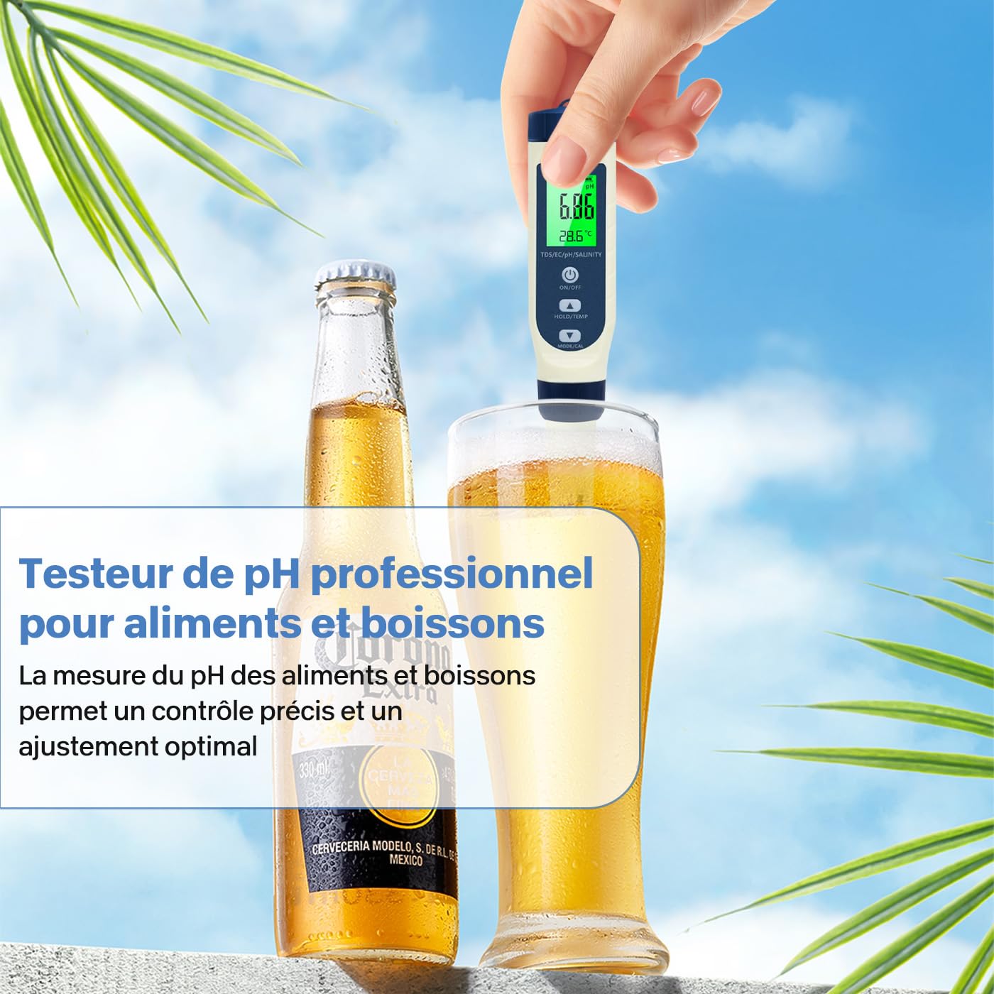 Ph Metre, 5 en 1 PH/TDS/EC/Salinité/Thermomètre, Testeur ph à Écran LCD, Testeur pH Piscine IP67 Étanche, pH Metre Haute Précision (± 0.01), Adapté à l'Eau Potable, Aquariums, Piscin