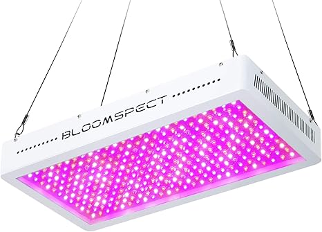 BLOOMSPECT 3000W LED Grow Light Full Spectrum Indoor Plant Lamp with 300pcs 10W LEDs