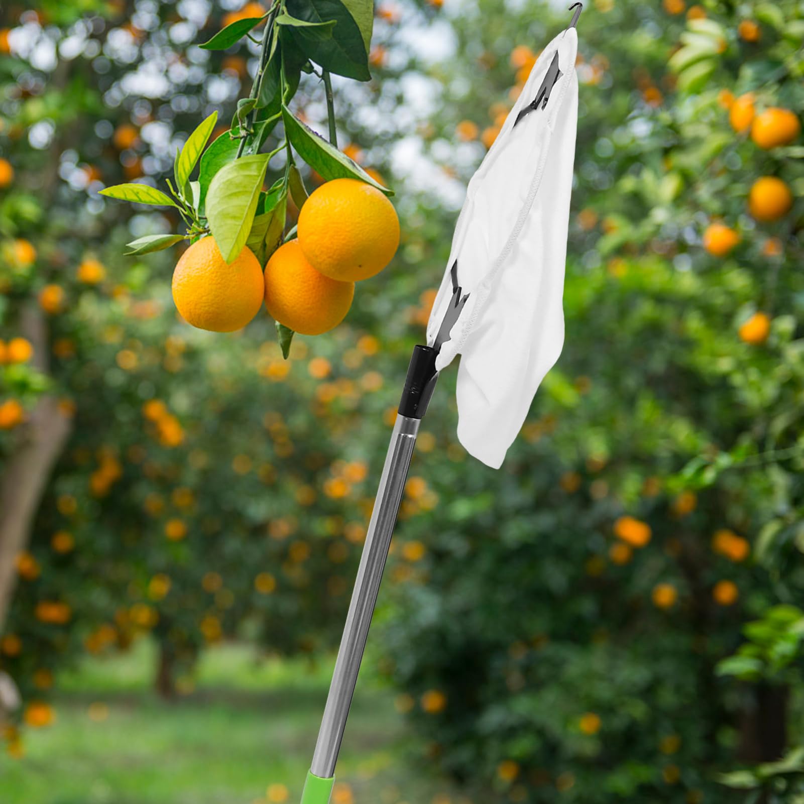 Toddmomy 1 Juego Recolección de Frutas con Extensión Ajustable y Cabezal de Herramienta Multiusos para Manzanas y Incluye Cesta de Recolección y Varilla Inoxidable