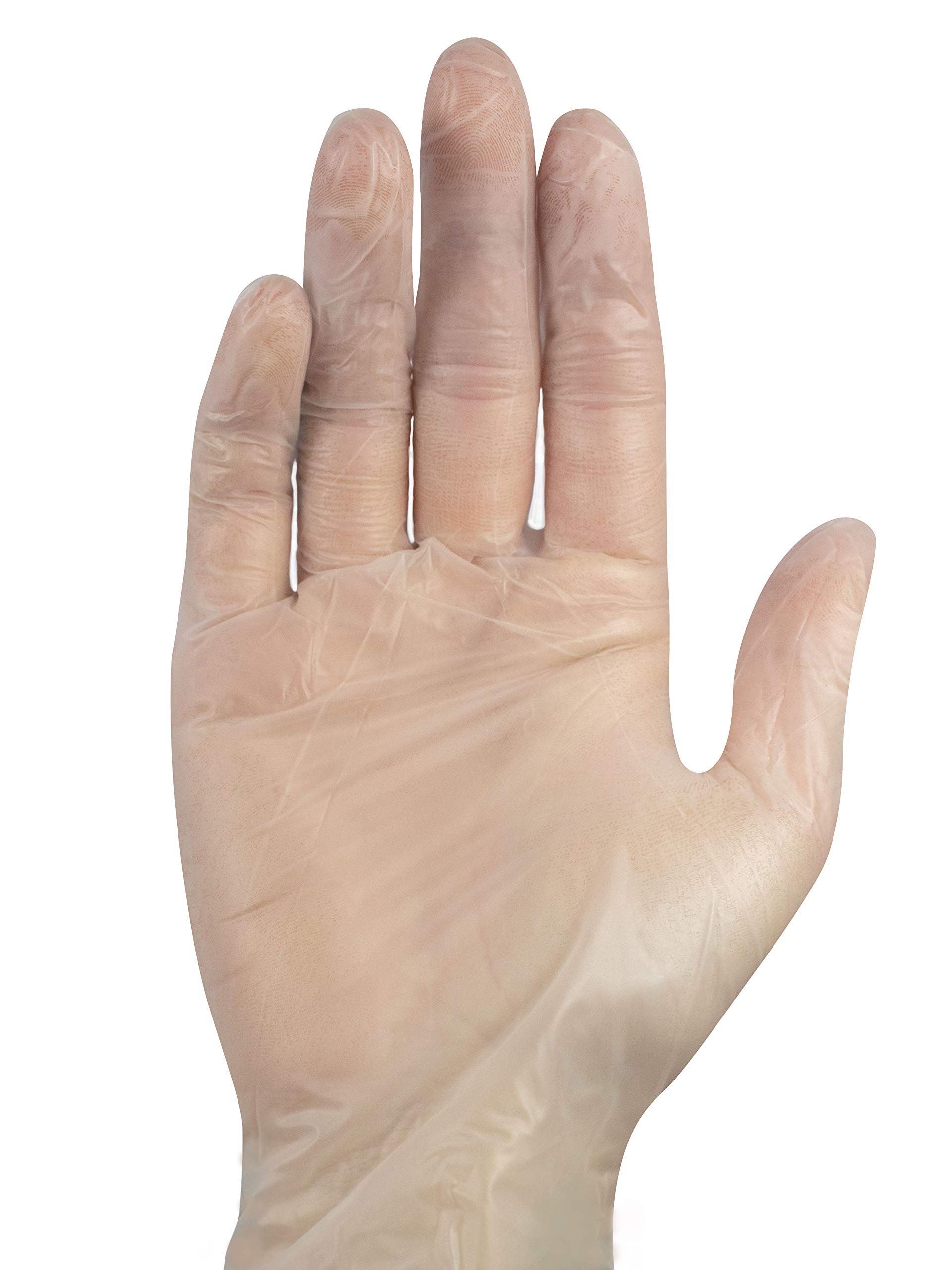 Nobaglove Vinyl Puderfrei Einmalhandschuhe, Größe M, 10 x 100 = 1000 Stück