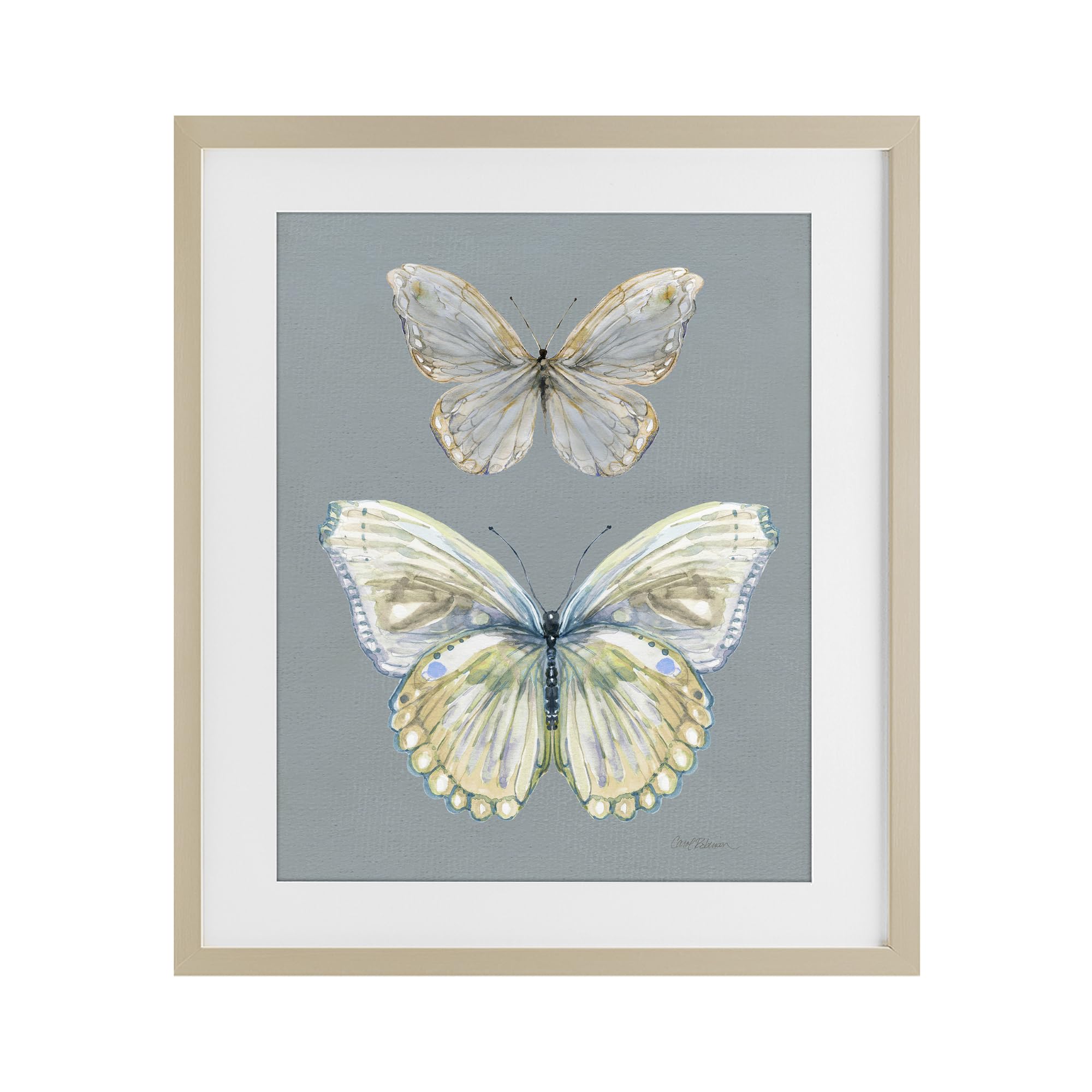 'Butterfly Pair Study'| Framed Print Under Glass