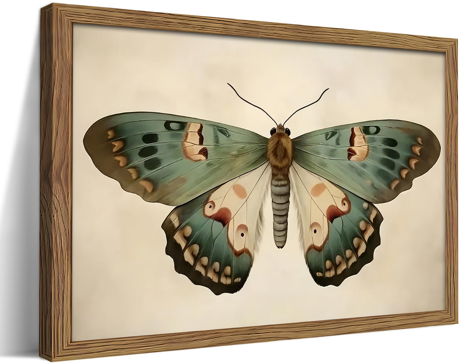 Photo 1 of Vintage Framed Butterfly Wall Art, Dark Moody Antique Insect Canvas Wall Decor Painting, Small Retro Farmhouse Moth Artwork Prints Pictures for Bedroom Cottagecore Decor 8x10 Inch