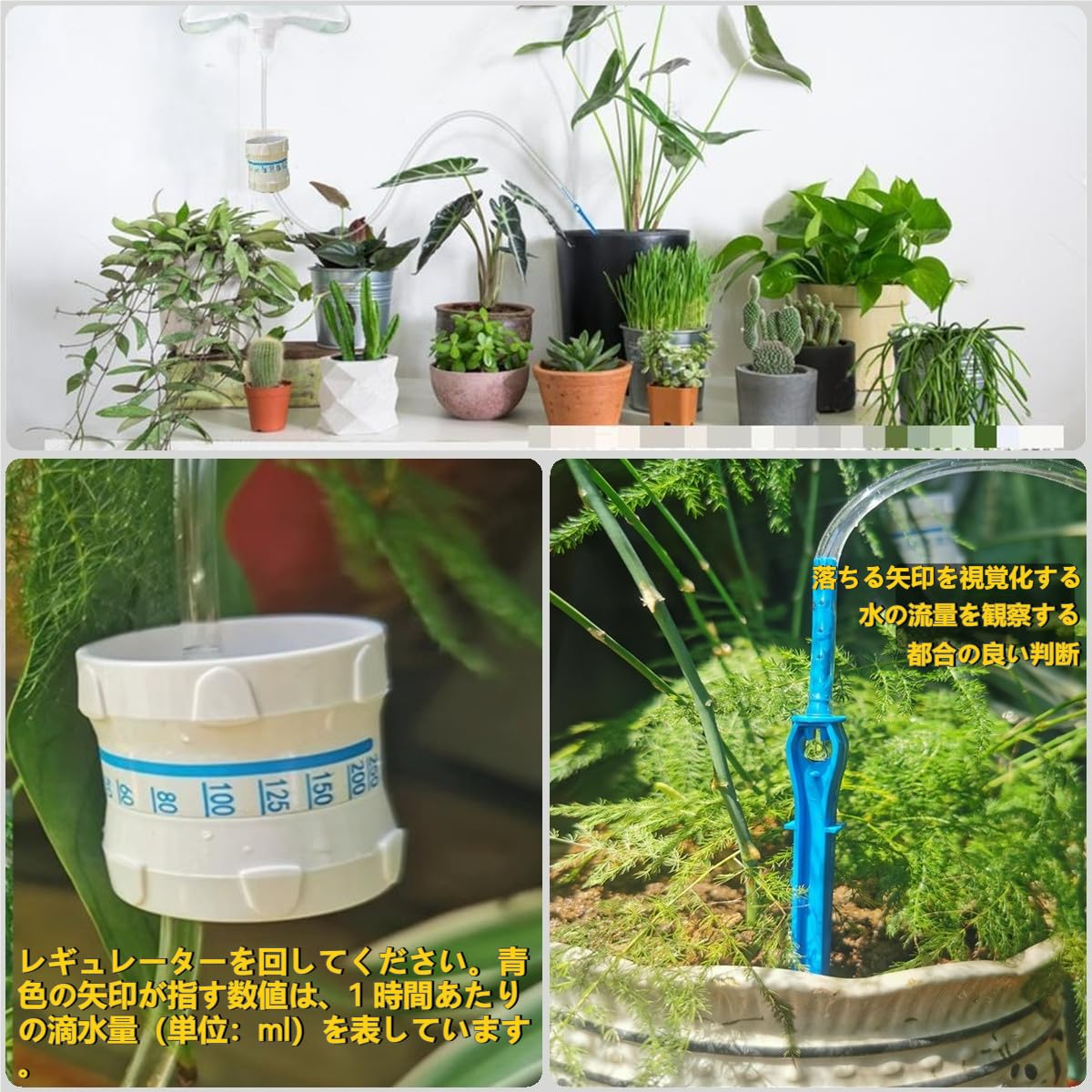 Amazon.co.jp: 自動水やり 植物 自動給水器 s字フック 付き 水やり当番