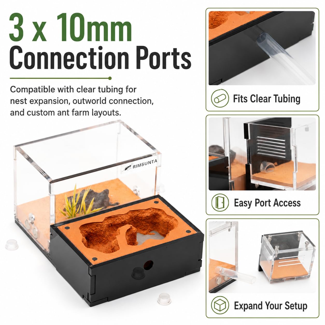Formicarium - Hábitat de granja de hormigas para hormigas vivas y reinas, kit educativo para adultos para estudio y aprendizaje de comportamiento de hormigas