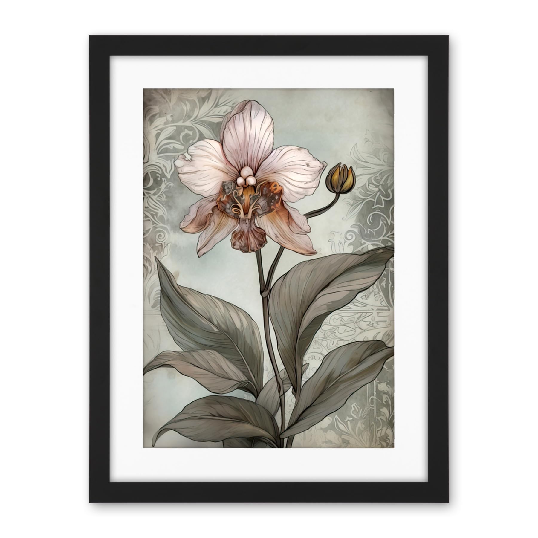 Artery8 Art Nouveau Pink Orchid Bloom Flower Watercolour Artwork Framed Wall Art Print 18X24 Inch