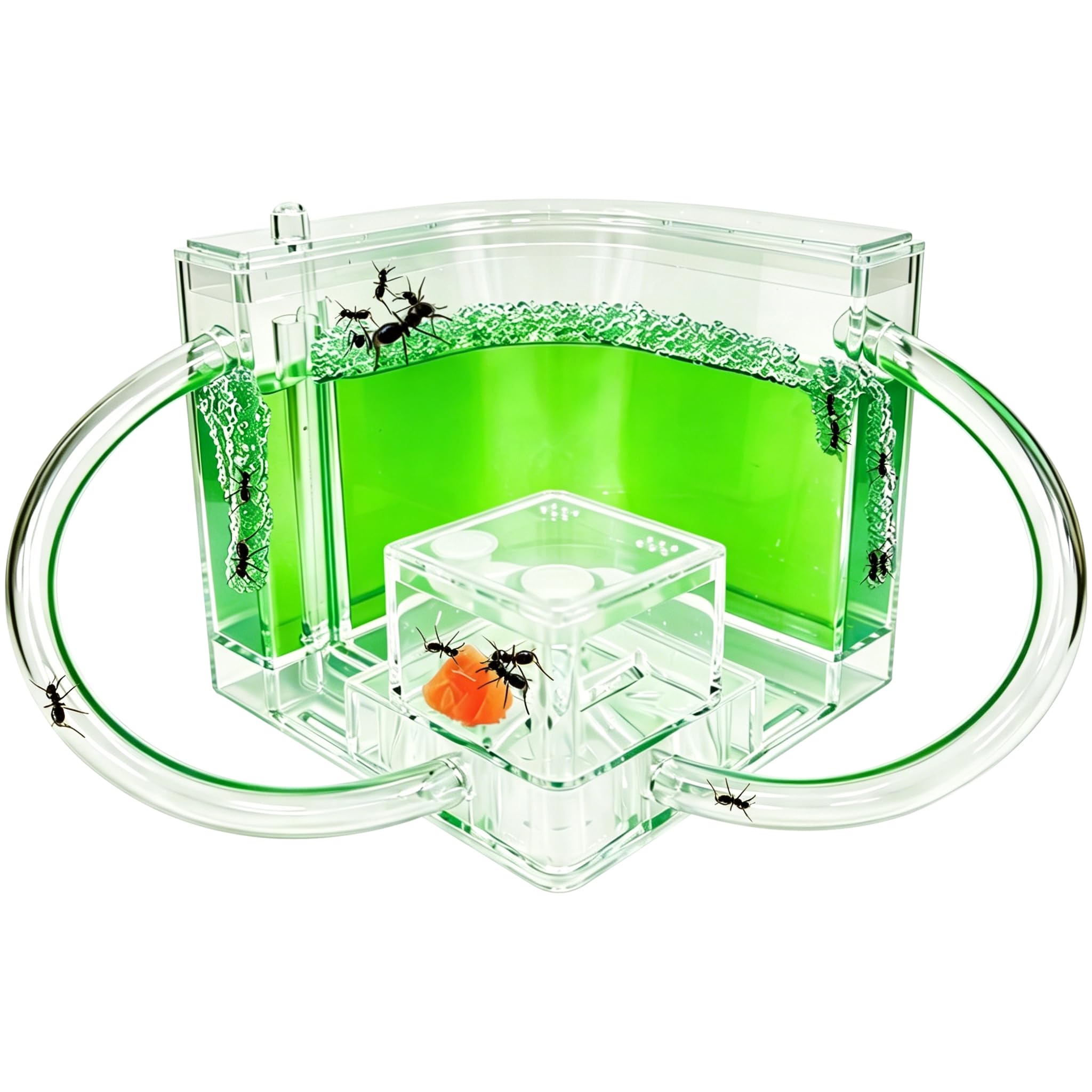 Amazon.com: EXBEPE Ant Farm for Kids Safety and Environment Gel