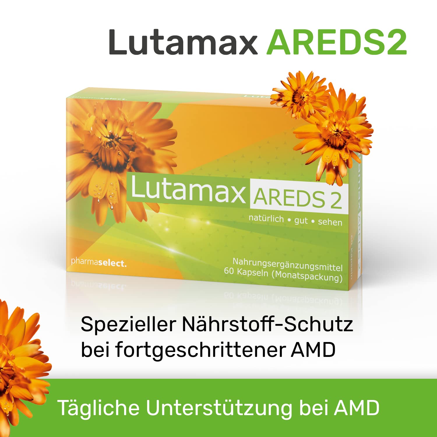 Lutamax AREDS 2 – 60 Kapseln | Lutein & Zeaxanthin | Augenvitamine bei AMD und altersbedingten Augenproblemen | 1-Monats-Pack