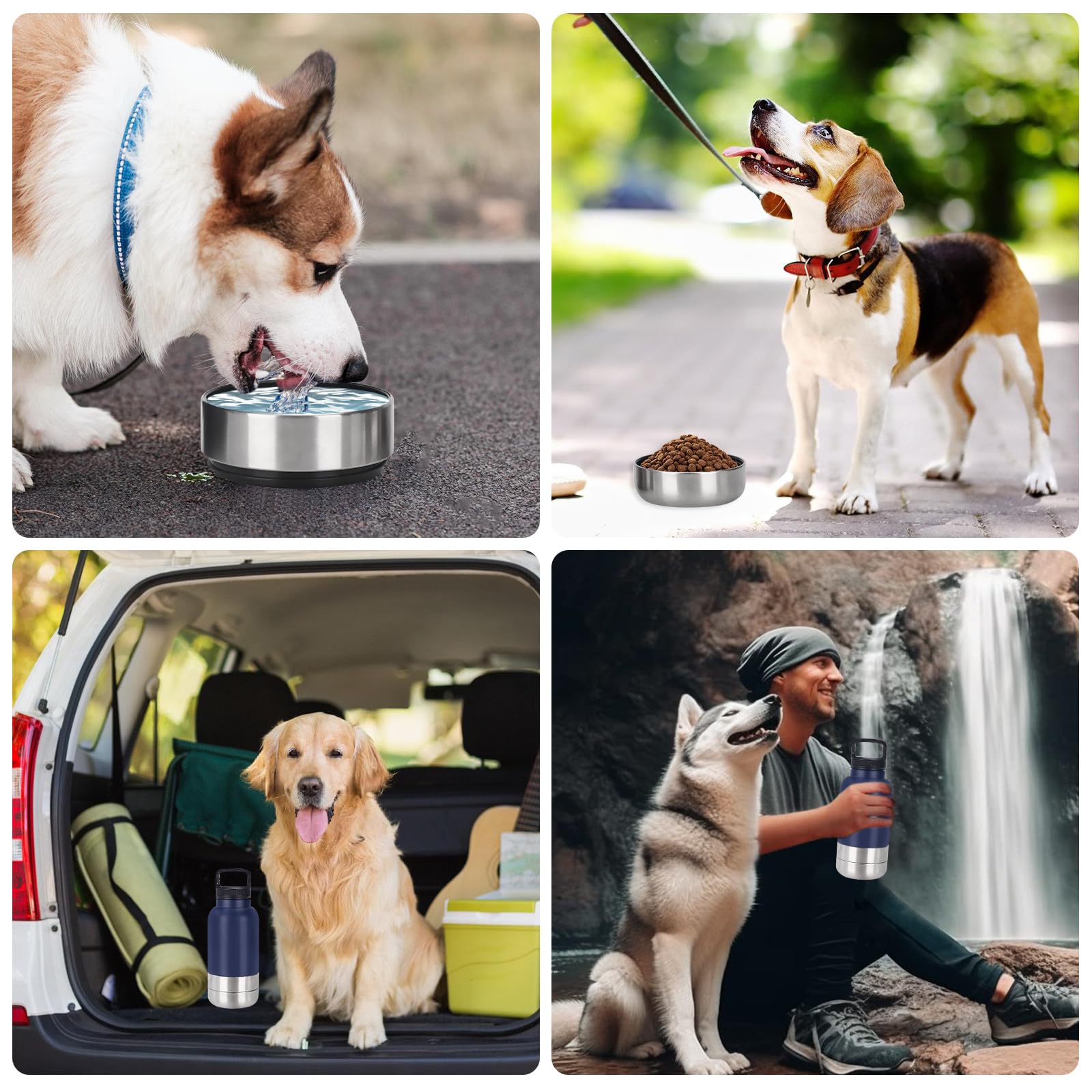 Gourde pour chien - Pour les déplacements - 1000 ml - Bouteille d'eau pour chien - En acier inoxydable - Avec gamelle d'eau et gamelle - Accessoire pour chien pour promenade - Sans BPA