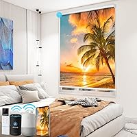 Vista 12 de TIPIACE Persianas de impresión motorizada recargables con control remoto, persiana enrollable de tela opaca completa compatible con Alexa Google