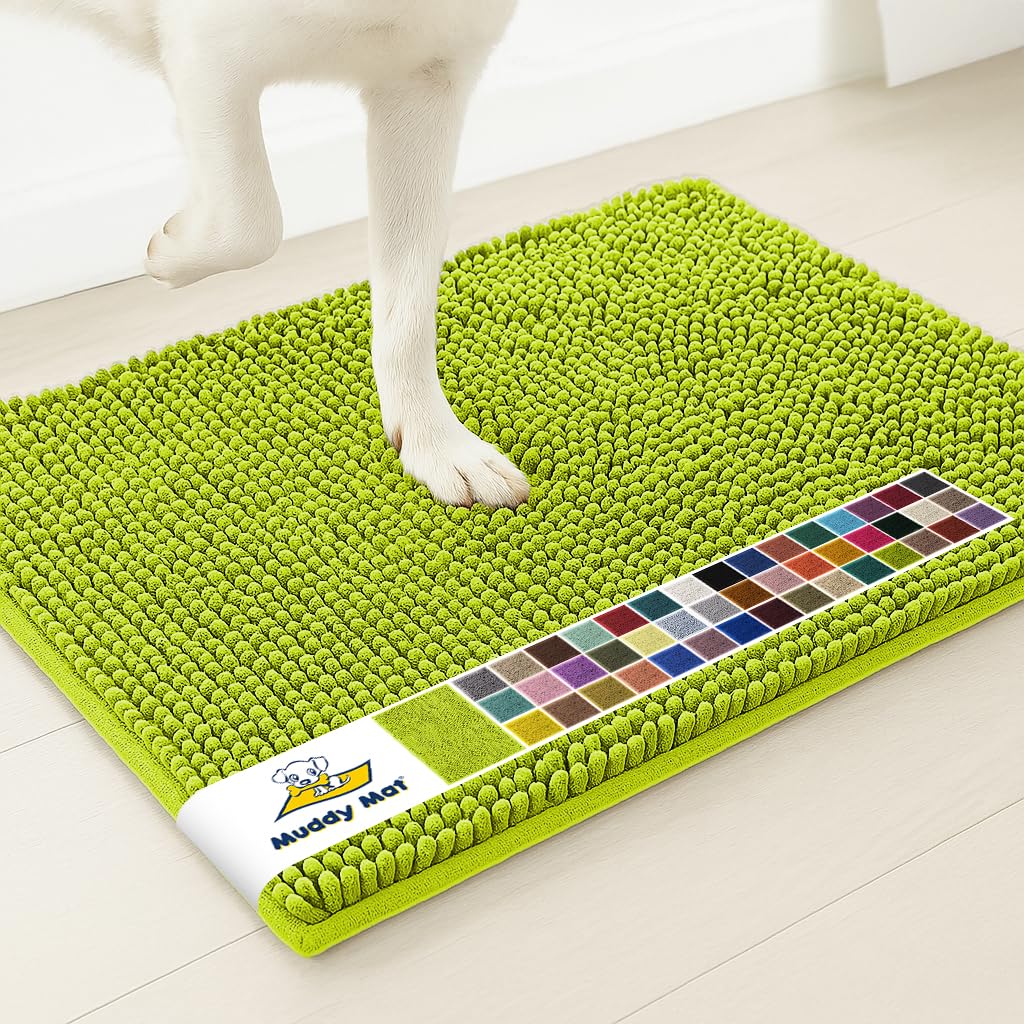 Muddy Mat® | Super Water Absorbent Door Mat Indoor, Microfiber Quick Dry Chenille Entryway Rug,Slip Resistant Front Door Mat,Indoor Mats for Entryway,Machine Washable Pet Rug, Spring Green 2ft x 3ft