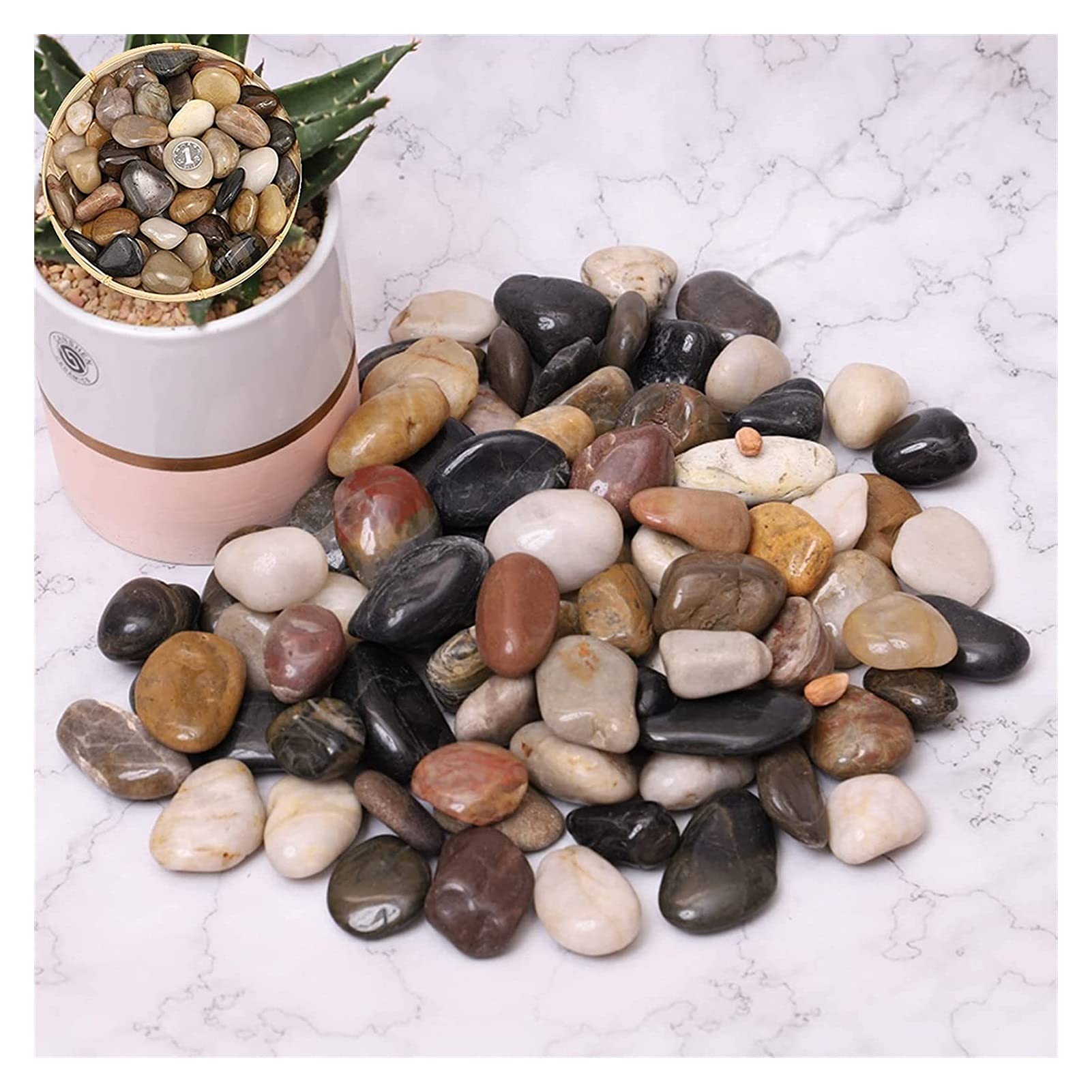 Decorative River Rocks Bonsai Giardino Giardino ciottoli decorativi ciottoli di ghiaia decorativi for piante 2-4cm 2,5 kg Pietre lucidate naturali for il corridoio del prato del patio del giardino. gi