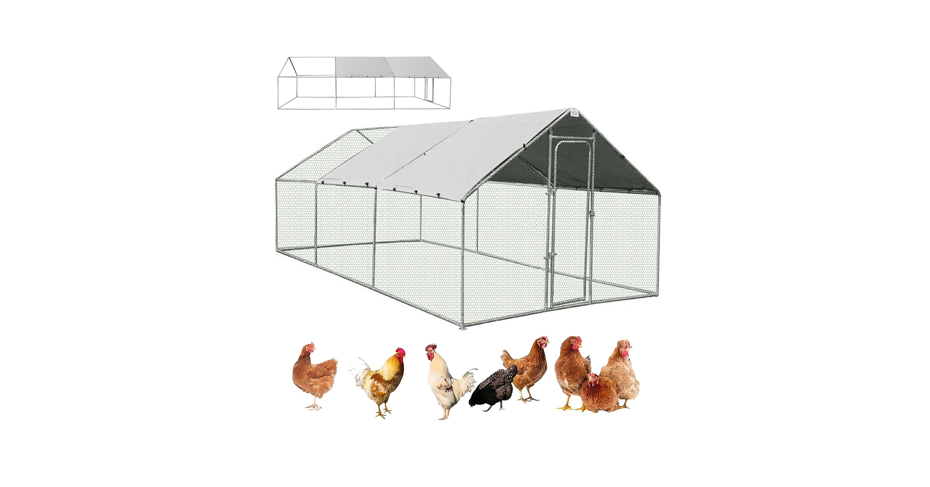 71nah2X8jBL.jpg_BO30,255,255,