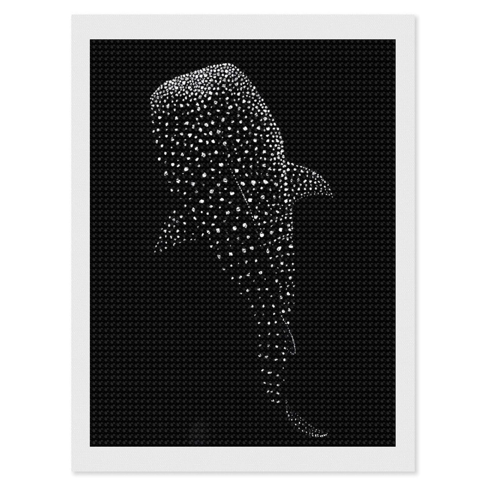 Junmoney Whale Shark Silhouette Diamond Art Canvas 12"x16", for Creative Relaxation, Simple to Start, Aesthetic Room Decor, Holiday Gift Idea