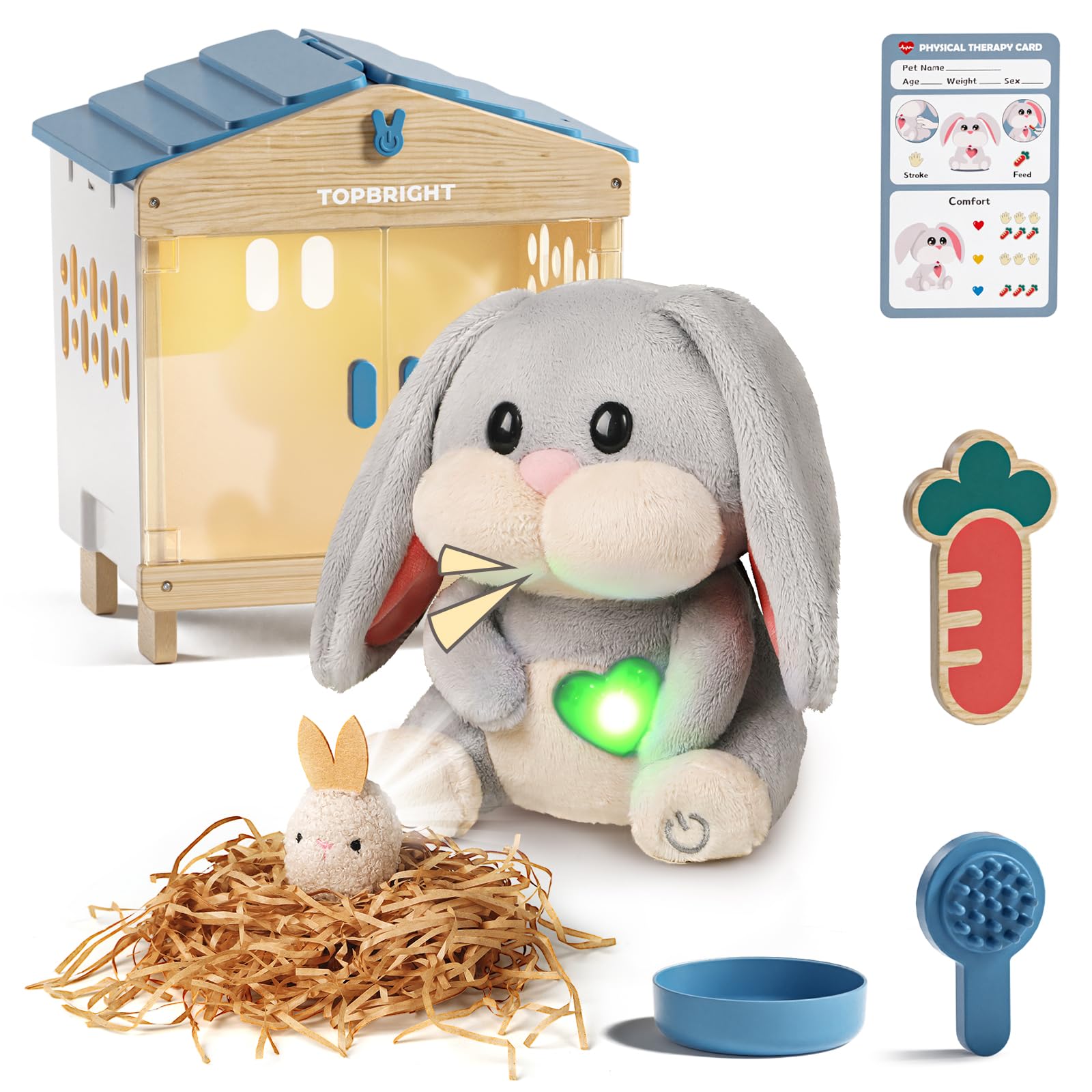 TOP BRIGHT Rabbit Electronic Toy