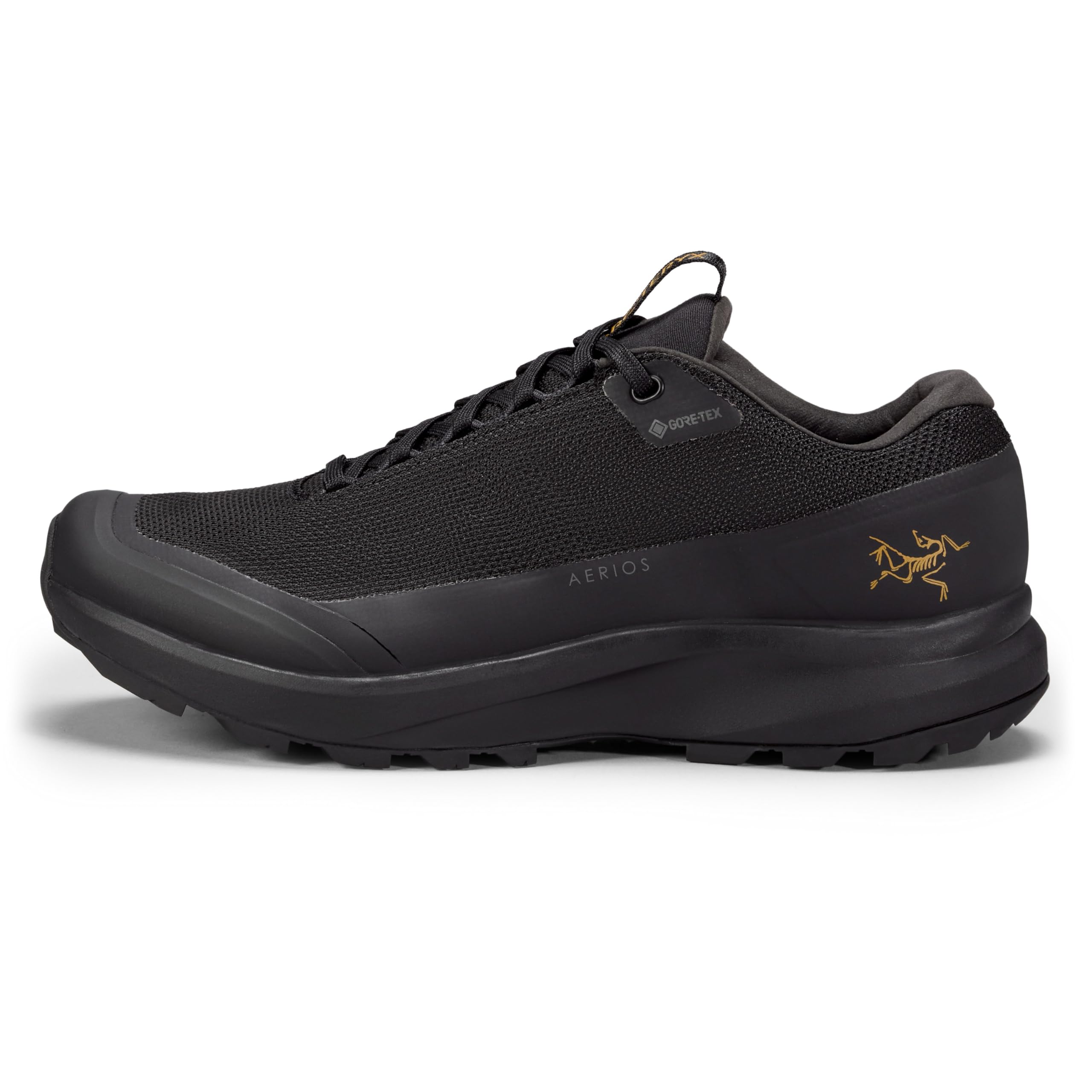 Arc'teryx Aerios GTX Shoe Women's | Fast and Light Gore-Tex Hiking Shoe