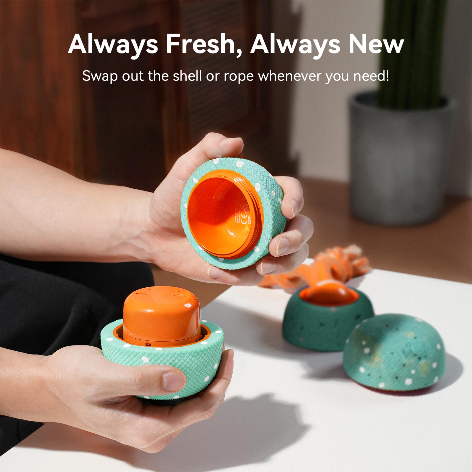 Wicked Ball Rolly (Aqua)