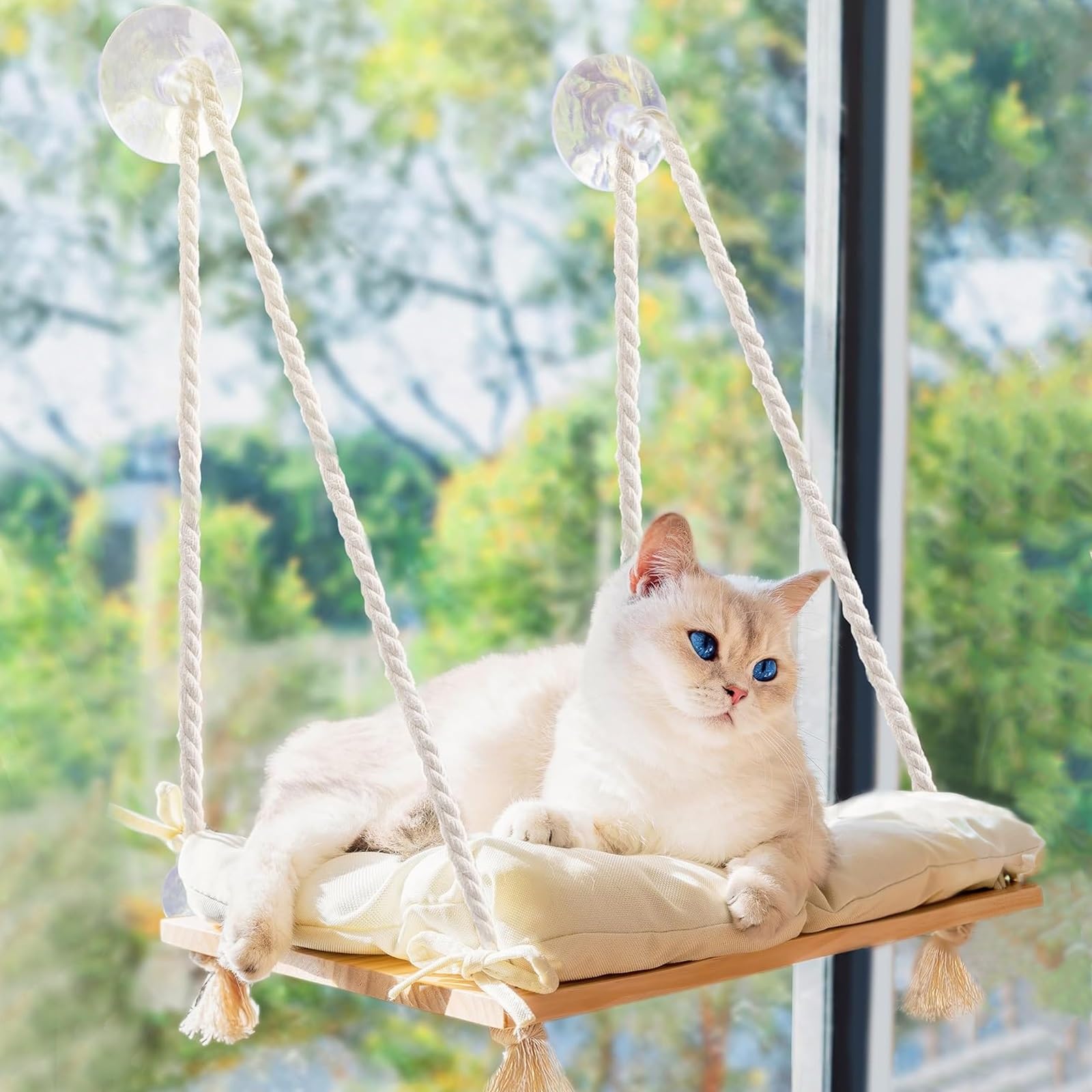 Albero per Gatti Amaca Gatto Letto per Finestra in Legno Massello con Cuscino Morbido e Ventose Potenti per Animali Domestici da Interno