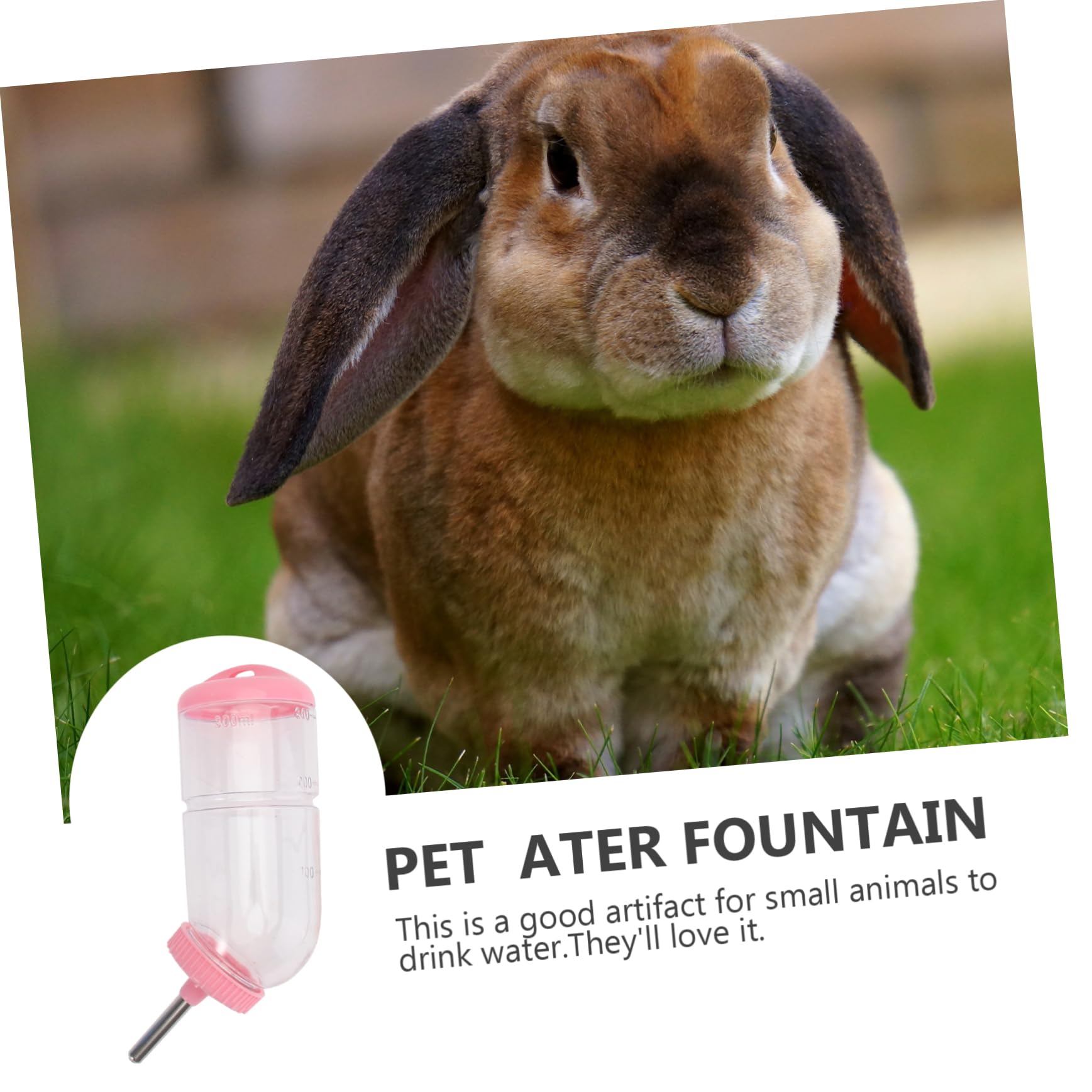 Beaupretty 6piezas Botella De Agua para Mascotas Dispensador De Agua Antigoteo para Pequeños Animales Bebedero De Inoxidable para Hámsters Conejos y Cobayas Capacidad De Color Aleatorio