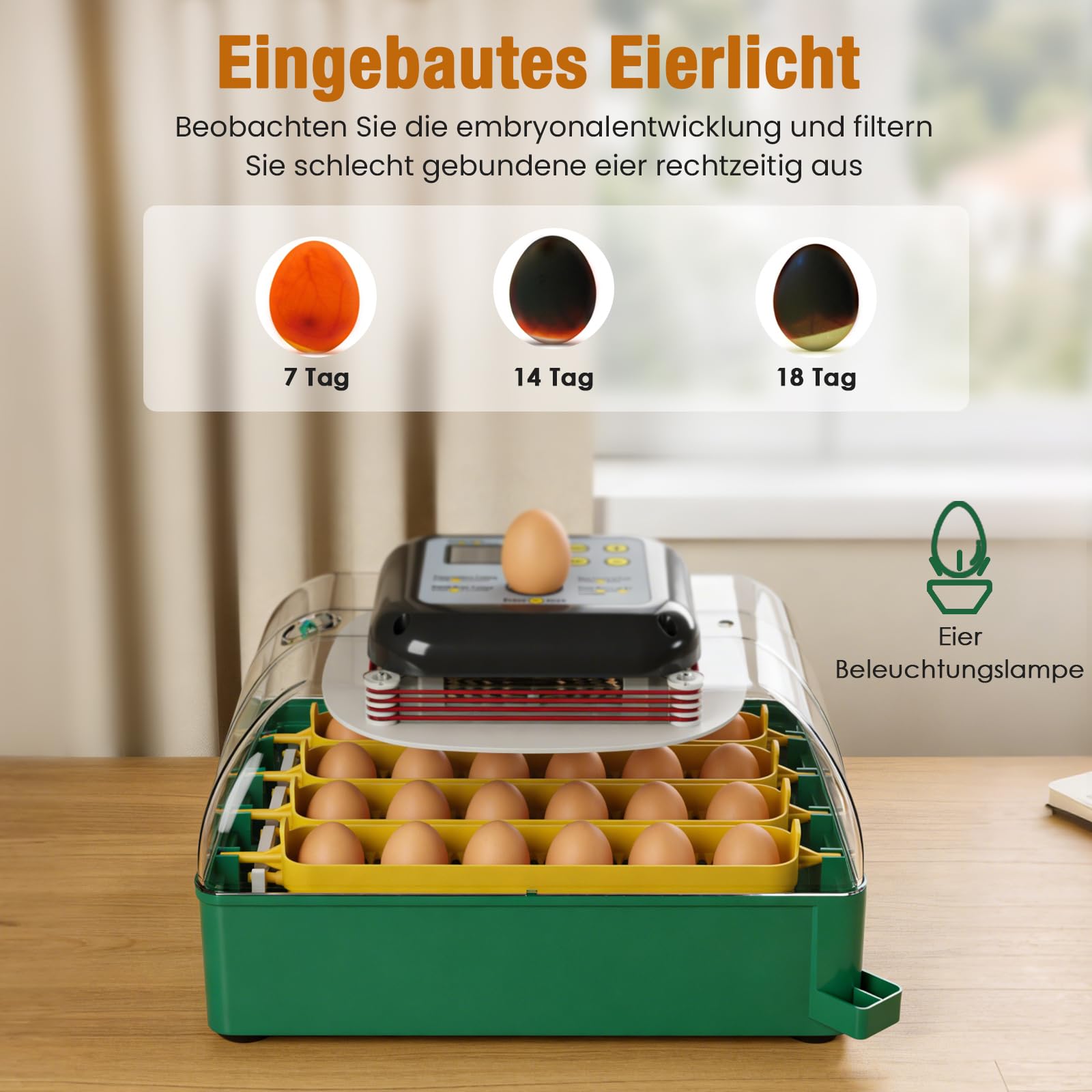 Incubadora automática para 24 huevos, volteo de huevos y control de temperatura
