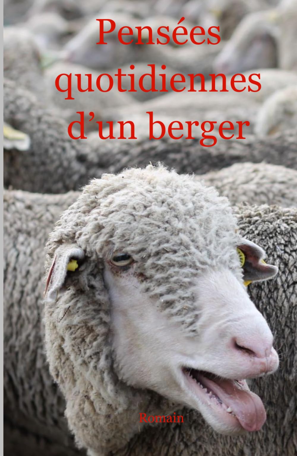 Pensées quotidiennes d'un berger