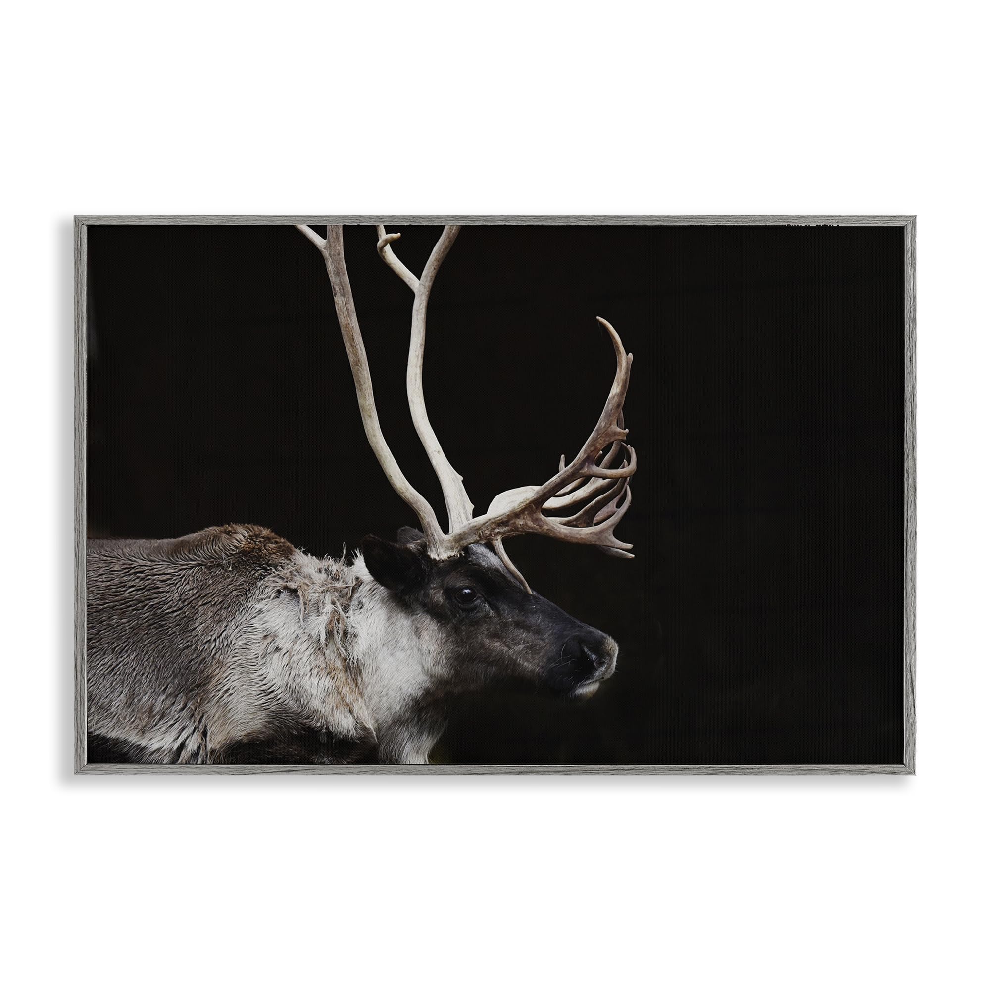 Stupell Industries 'Dark Reindeer at Night', Framed Giclee Art, Gray, 30 x 20 Inches, Easy to Hang and Sturdy, Made in USA, by Amy Carroll