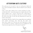 Jiwa Steel Cut Oats | 1 Kg | Old Fashioned Oats | Cereal for Porridge | Rich In Protein and Fiber | Make Vegetable Pulao and Risottos | Gluten Free and Wholegrain | 100% Natural gallery image