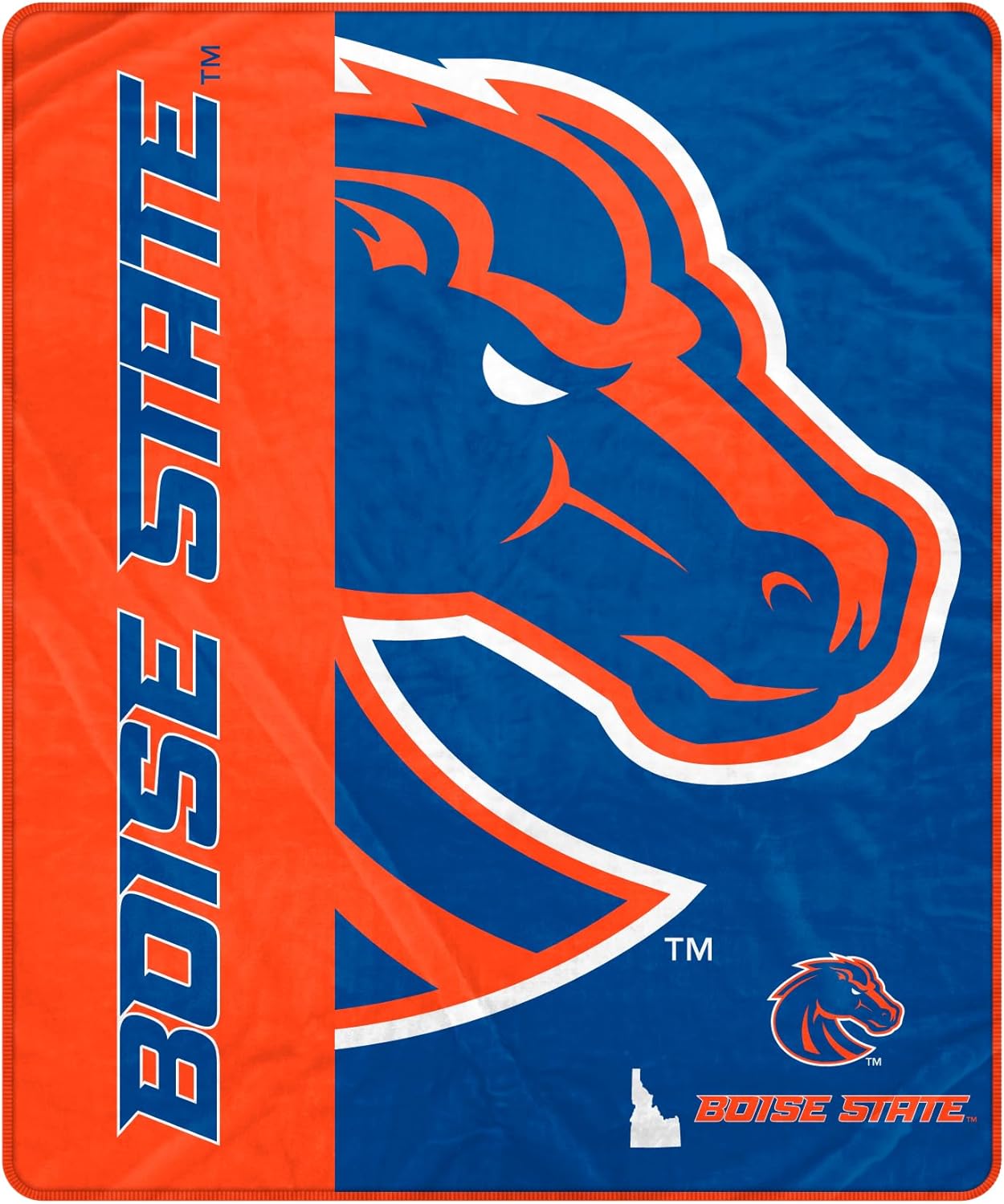 Pegasus Sports NCAA Endzone Ultra Soft Tailgate Throw