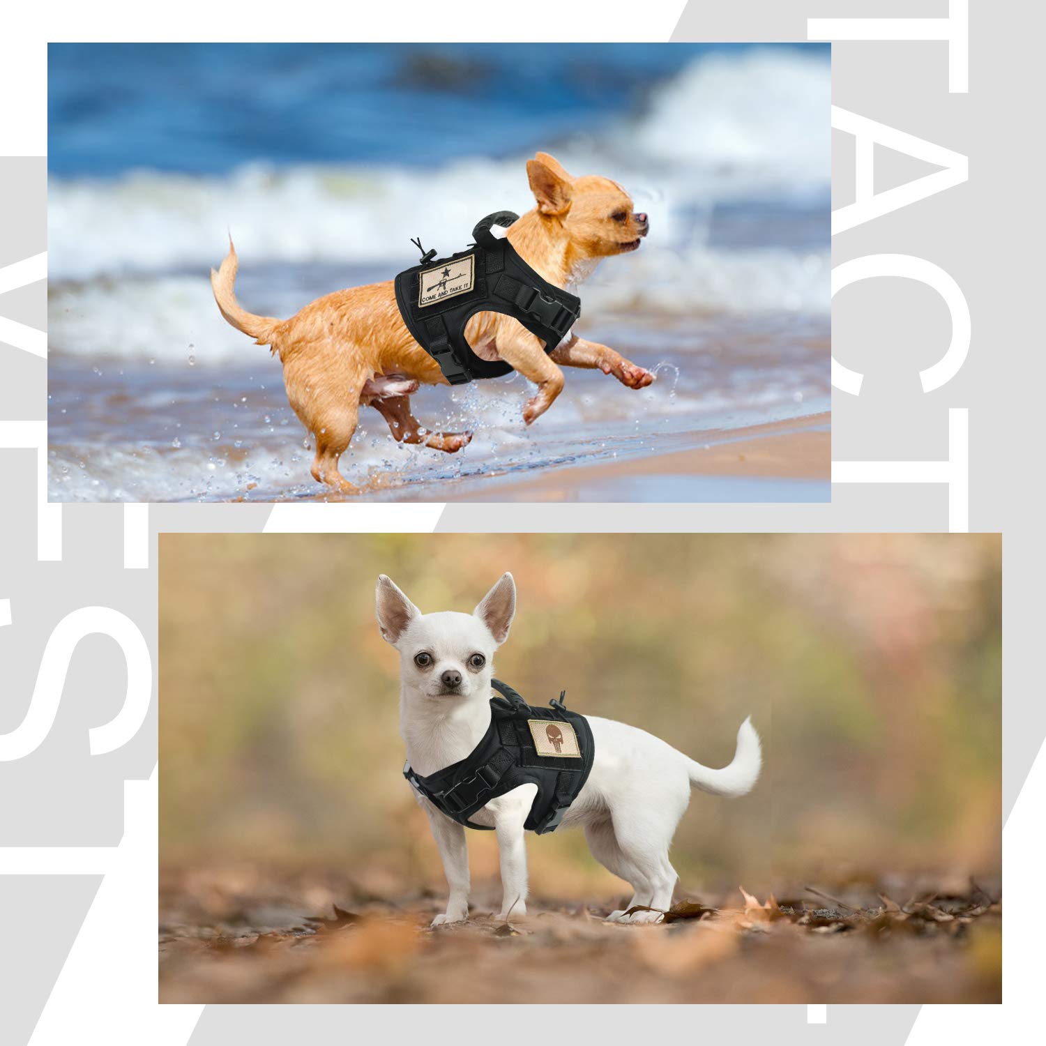 Taktisches Hundegeschirr, Outdoor-Trainingsservice, Hundeweste, verstellbar, Militär, Arbeitshund, Weste mit MOLLE-System und Gummigriff, Größe S = 50-58 cm Brustumfang (verstellbar), Schwarz