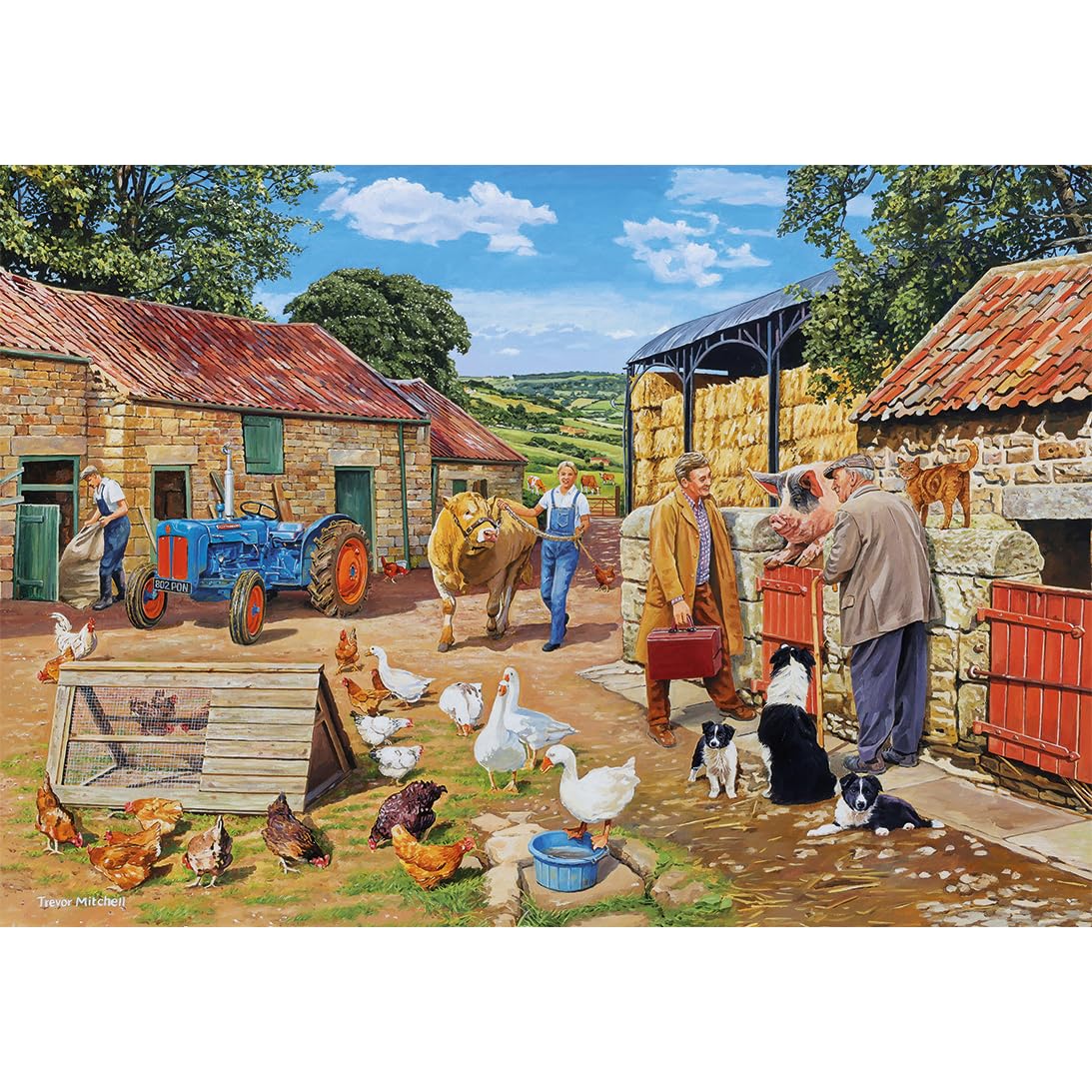 Gibsons Puzzle Call The Vet 4x500 Teile Bauernhoftiere Erwachsene