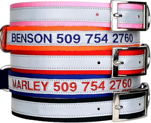 GoTags Collares reflectantes bordados para perros con hebilla de metal, collar personalizado para perro bordado con nombre de mascota y número de