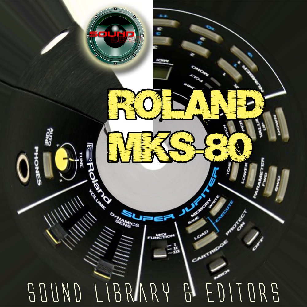 Amazon | ROLAND U-110 Huge Original Factory & new Created Sound