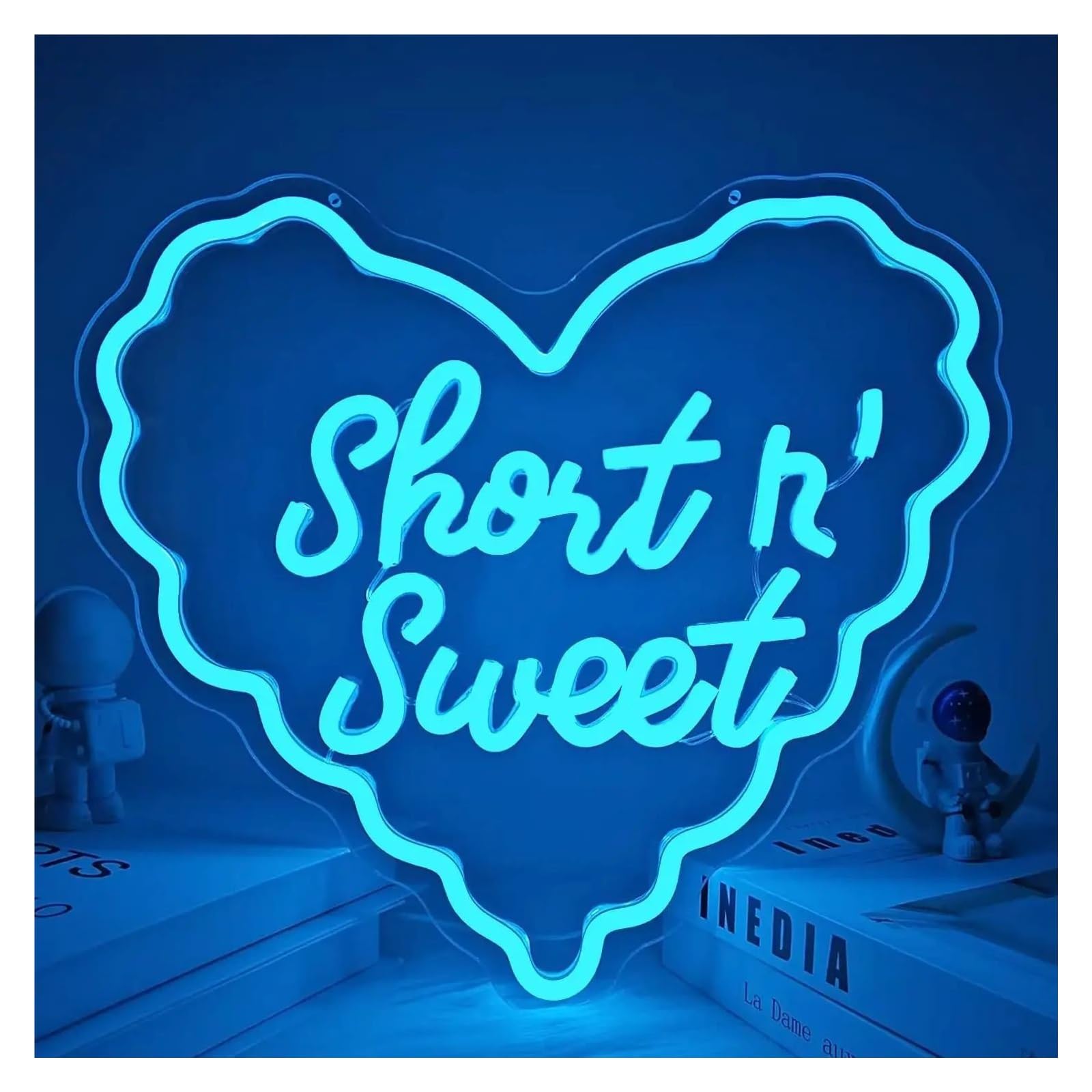 SHOUXI Sign Lamp Singer Neon Lights for Bedroom Girls Room Music Studio Birthday Party Decor 44.5x41.5cm