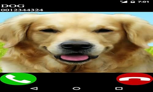 Fake Call From Your Dog, Dog Calling Prank for Dogs Lovers and Pet Owner