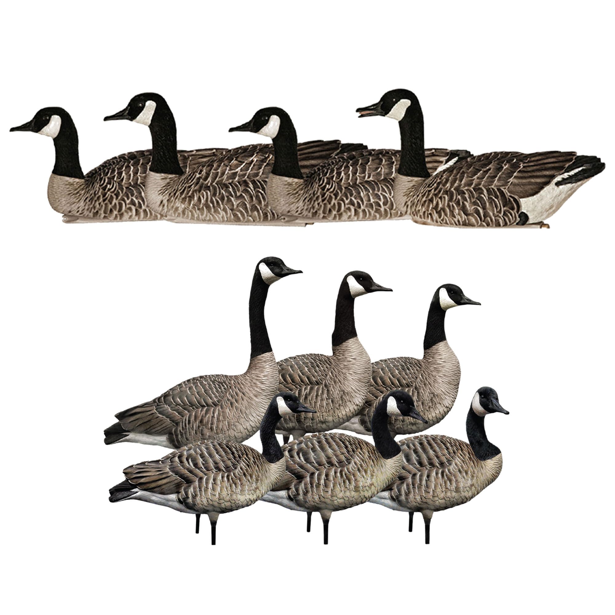 Avian-X Topflight Honker Floaters Bundled with AXP Honker Sentry Walker Pack, Realistic Waterfowl Hunting Decoys, Ideal for Outdoor Hunting Use
