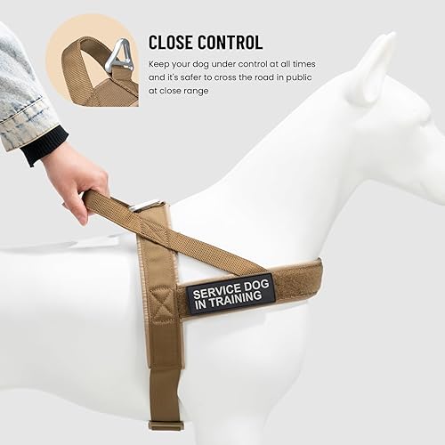 Miniatura 5 de EXCELLENT ELITE SPANKER Arnés acolchado para perro, sin tirones, arnés ajustable de nailon para perros pequeños, arnés para caminar para entrenar y