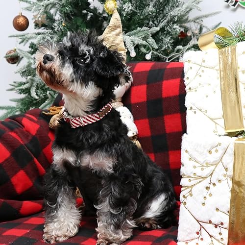 Miniatura 4 de Lionet Paws Collar de perro de Chirstmas, cómodo y ajustable, lindo collar de rayas rojas y blancas con hebilla de metal para cachorros y gatos,